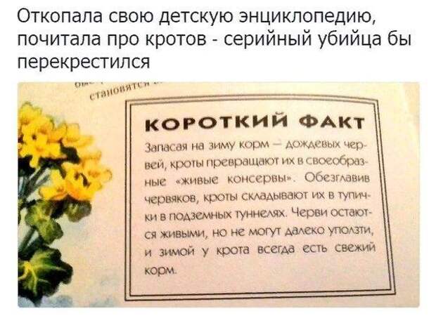 Подборка прикольных и веселых картинок с надписью со смыслом (10 фото)