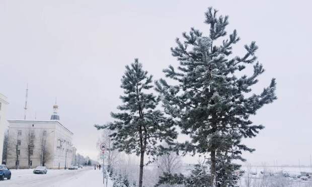 В Архангельск пришла оттепель