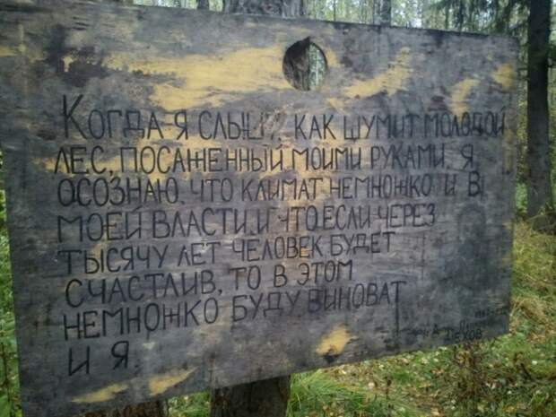 Подборка картинок (20 фото)