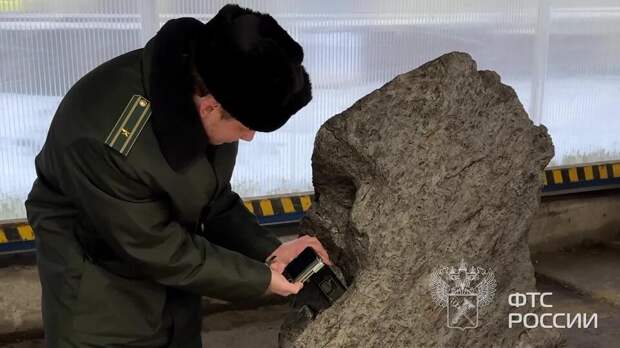 Осколок метеорита стоимостью 323 млн рублей пытались вывезти из РФ в Британию