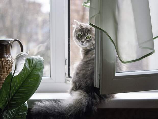 Все ругают погоду, но никто с ней не борется. Представляем прогноз на 7 января в Туле