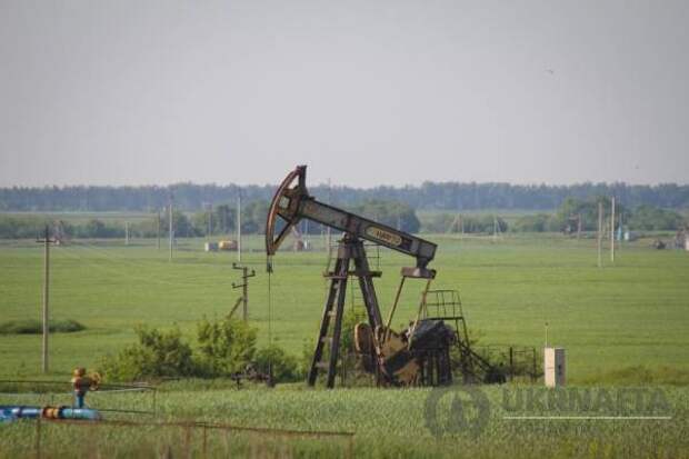 Как "закопали" украинскую нефть