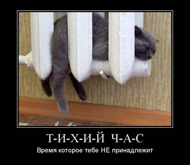 Демотиваторы (30 фото)