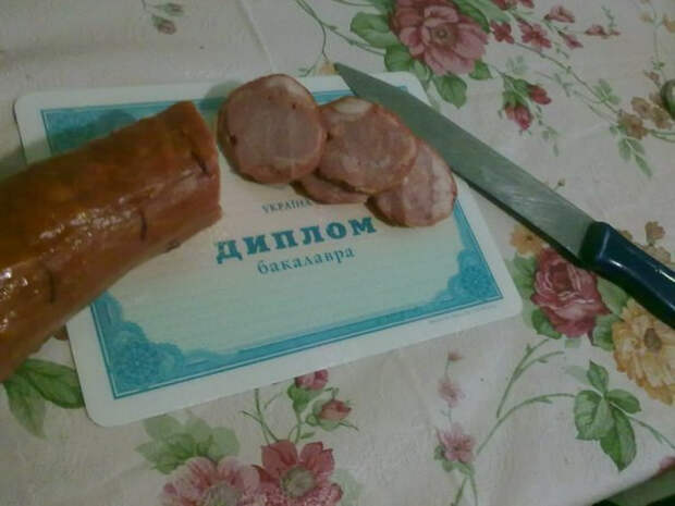 На нём можно порезать колбаску вуз, диплом, полезное, фото