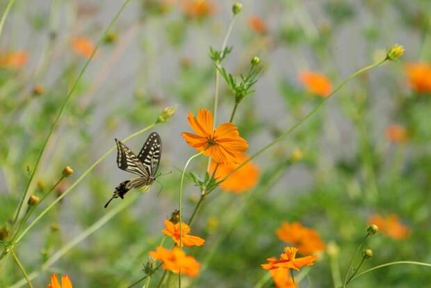 Есть только миг между прошлым и будущем... Есть только миг между прошлым и будущем...