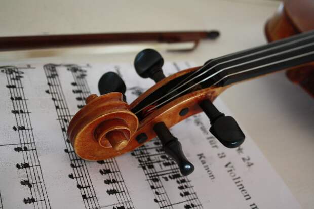 Скрипка. Фото: pixabay.com