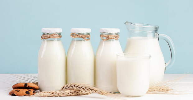 Эксперт Ионова: молочными продуктами можно заменить до 40% суточного рациона