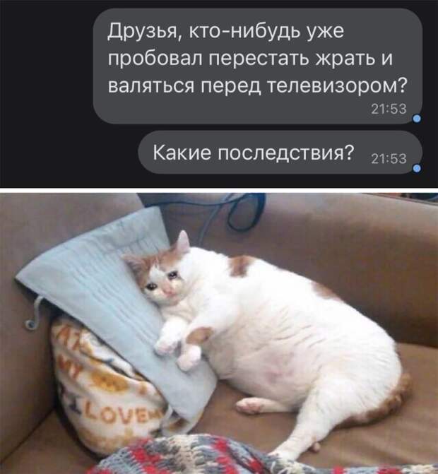 Смешные картинки 7 января 2022 года