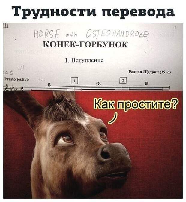 15 случаев, когда подвел Гугл-переводчик 15 случаев, когда подвел Гугл-переводчик