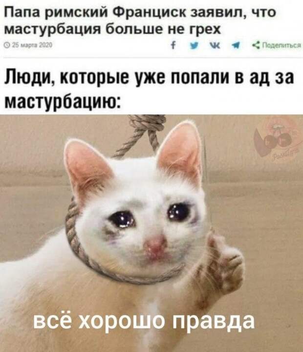 Мемы и приколы про 