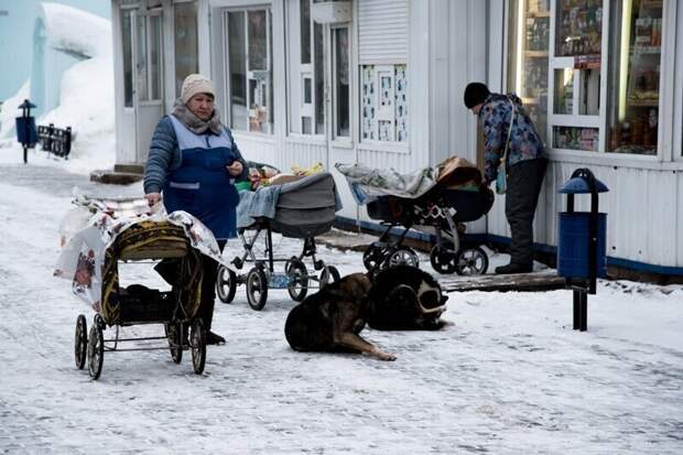 Детские коляски в торговле Детские коляски в торговле