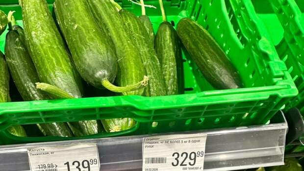 Цены на огурцы достигнут пиковых отметок к концу февраля