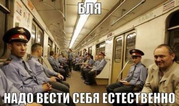 Приколы и приколихи.