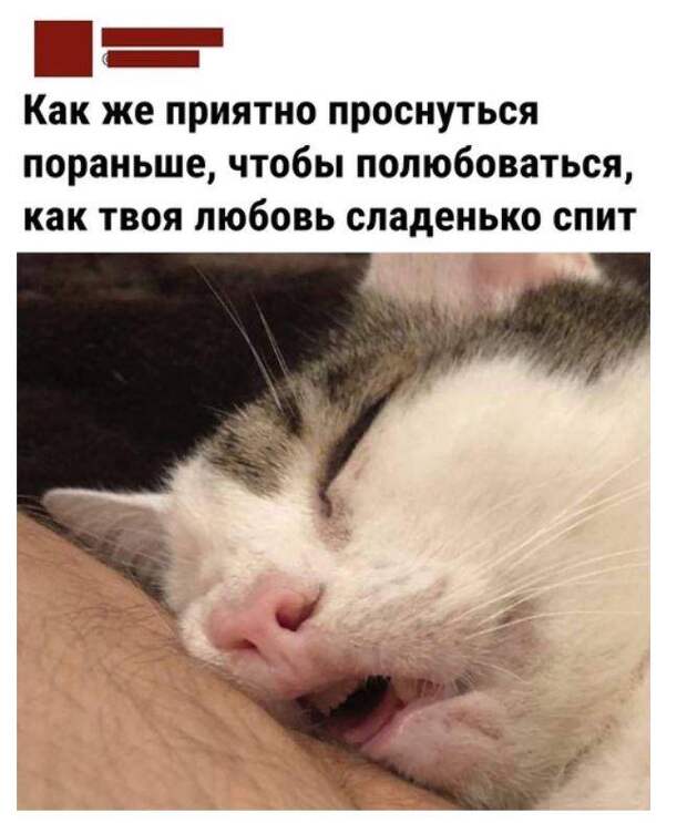 смешные картинки с надписями (5)