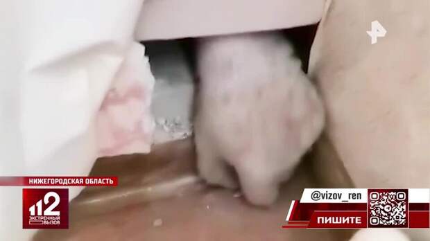Дебошир пробил дыру в стене и просунул руку к соседям в Нижегородской области