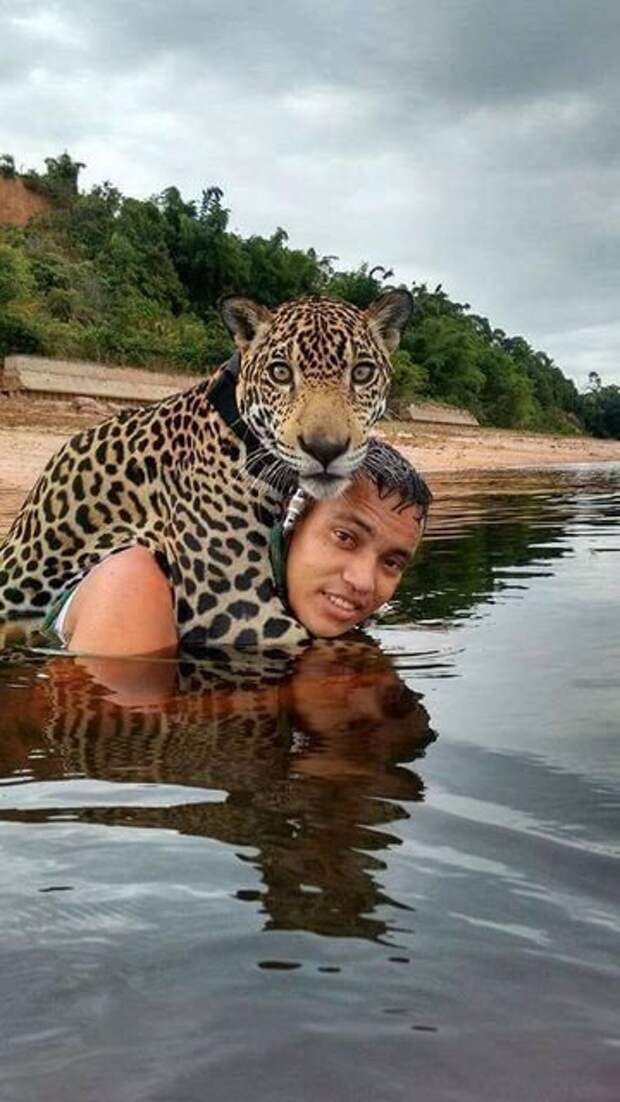 vMhiebglmsI