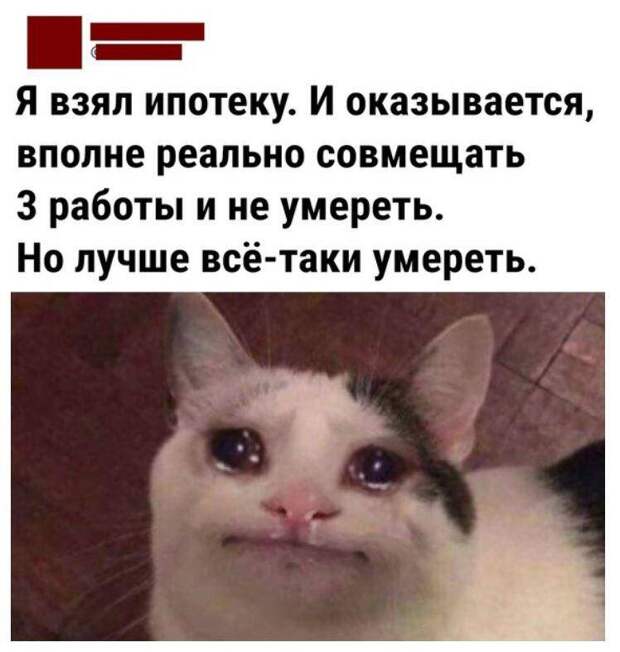 смешные картинки с надписями (18)
