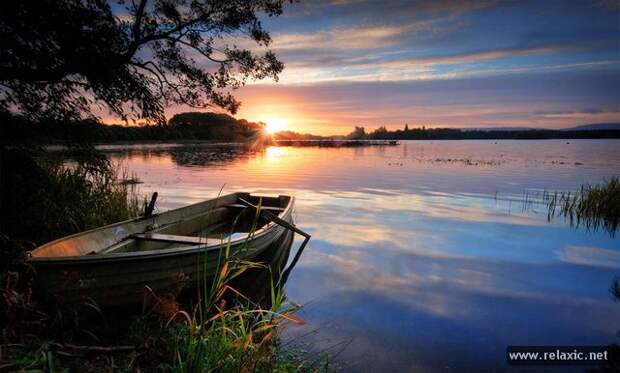nature_004