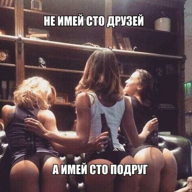 Смешные картинки с надписями с надписями, смешные картинки