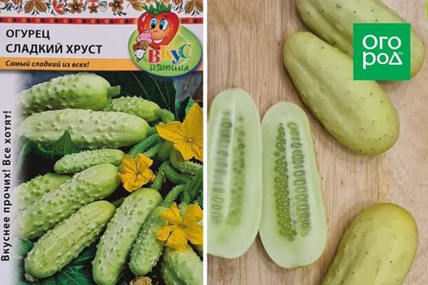 Огурец Сладкий хруст