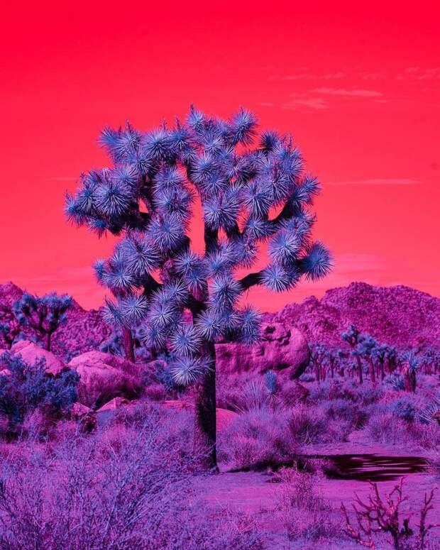 Фотограф превращает пустынные пейзажи в сюрреалистические сцены не из этого мира 