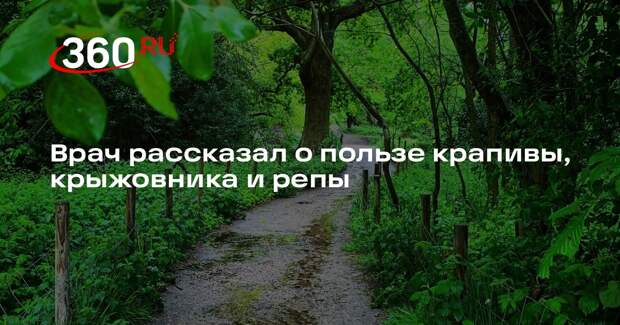 Гастроэнтеролог Кашух перечислила девять продуктов для укрепления здоровья