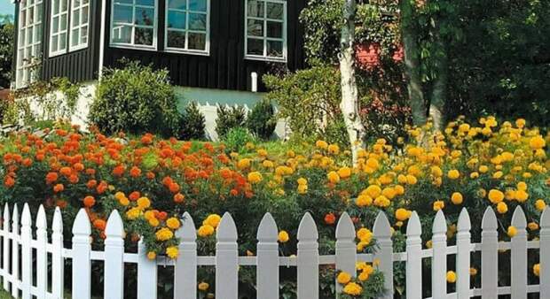 Деревья и кусты дают тень. |Фото: bestlj.ru. Деревья и кусты дают тень. |Фото: bestlj.ru.