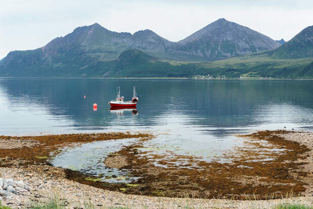 Невероятная Норвегия: Чудо-юдо Рыба-кит