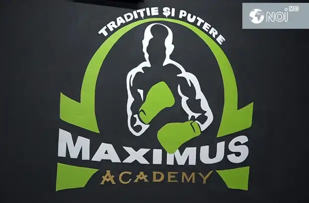 Спортивная федерация зал. Voevoda Racing logo. Наклейки Voevoda купить.