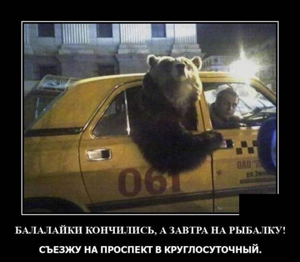 Демотиватор про медведя в такси