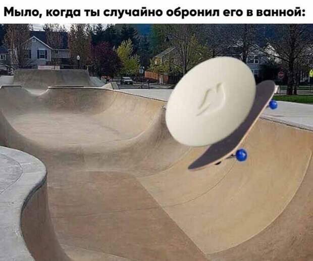 Смешные и познавательные картинки