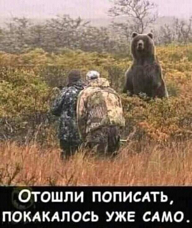 Самые смешные свежие картинки с надписями (суббота)