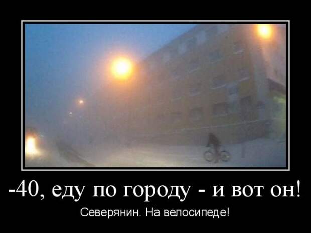 Демотиваторы (30 фото)