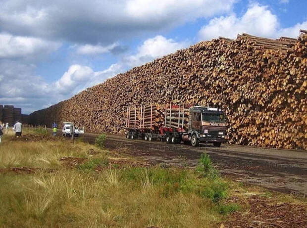 photo_2023-12-21_19-28-48 photo_2023-12-21_19-28-48