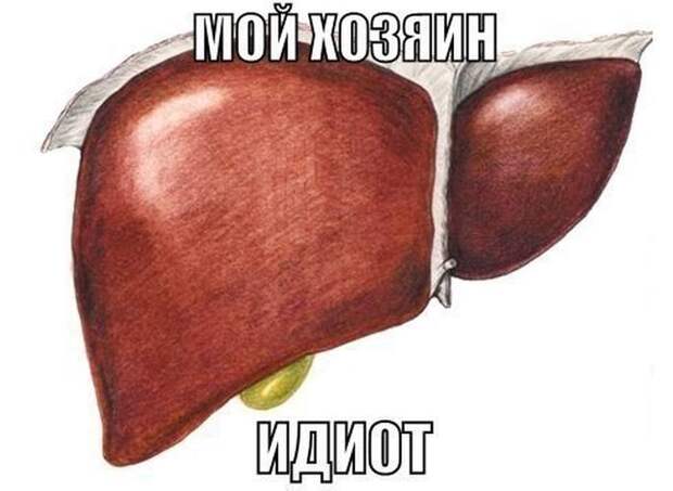 Прикольные картинки Прикольные картинки