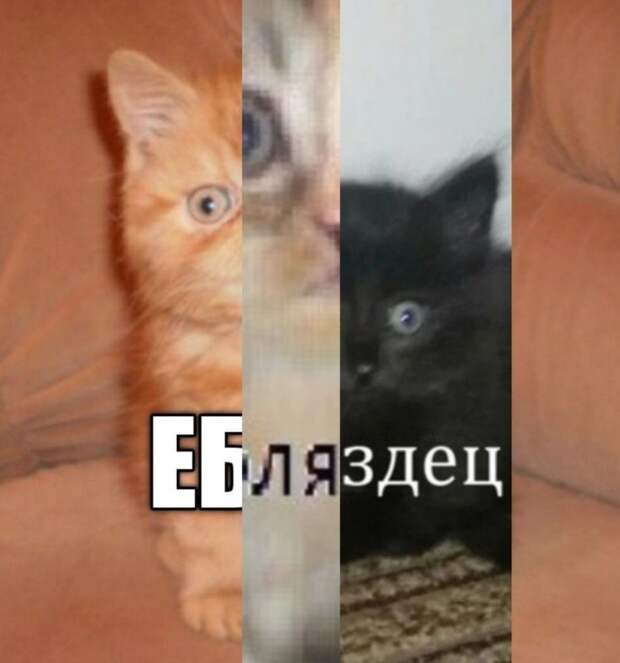 еБляздец