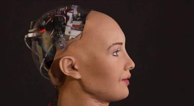 Дождемся ли мы серийного производства гуманоидных роботов?