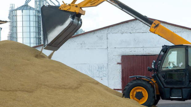 Евросоюз готовится поднять пошлины на зерно из России и Белоруссии