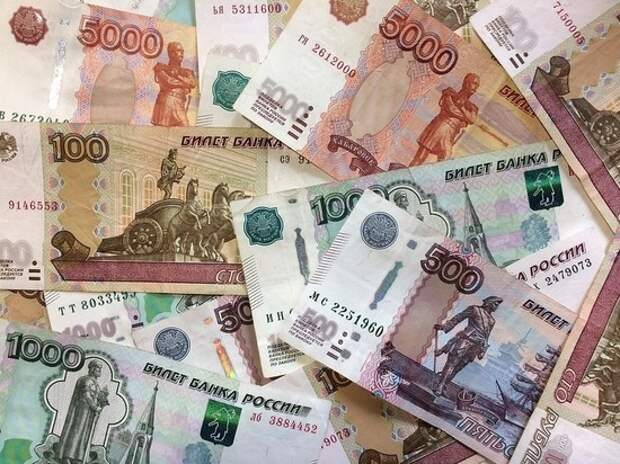 Госдума повысила НДС: последствия на примере колбасы