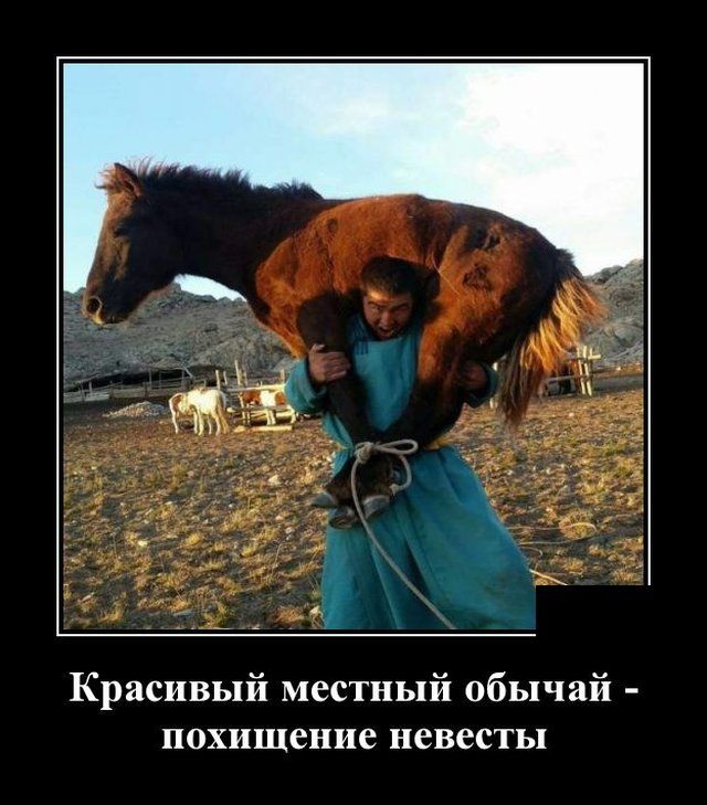 demotivatory-demotivator-smeshnye-demotivatory-demotivator-so-smyslom