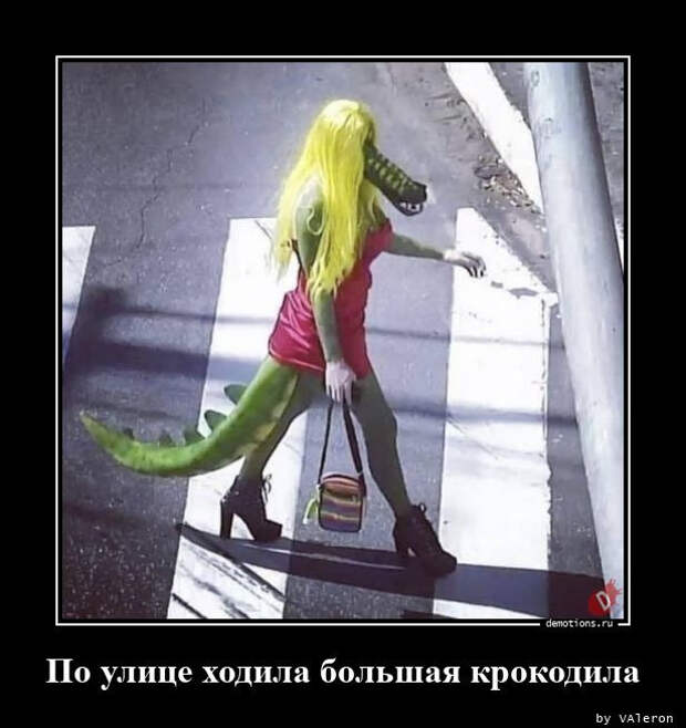 Демотиваторов пост (19 фото)