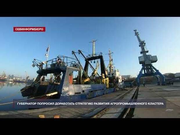 Губернатор Севастополя попросил доработать стратегию развития агропромышленного кластера