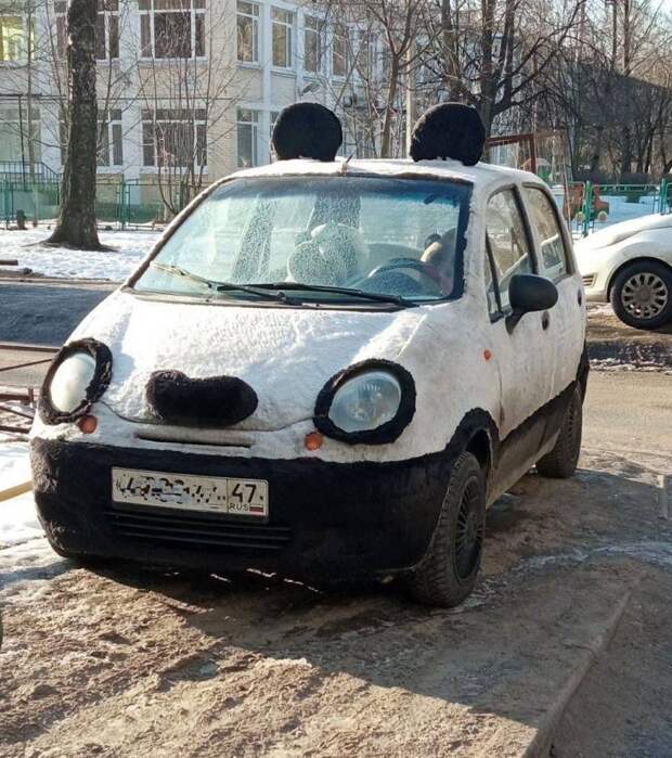 Смешные картинки вечер 9 марта 2021