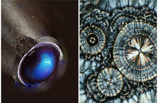 12 дивных фото, показывающих, как необычно выглядят под микроскопом различные предметы 12 дивных фото, показывающих, как необычно выглядят под микроскопом различные предметы