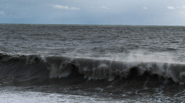 Что произошло в мире 26 января: разрушительное цунами и «ромовый мятеж»