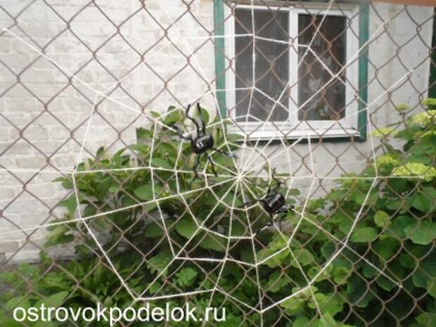 SAM_0773