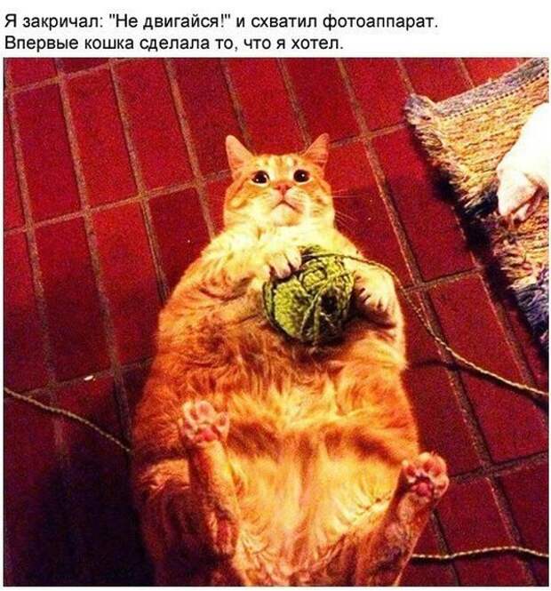 Прикольные картинки Прикольные картинки
