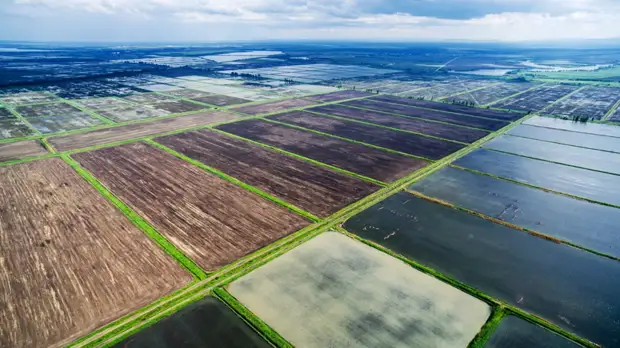 Аграрии Адыгеи получили награды на выставке «Золотая осень — 2021»