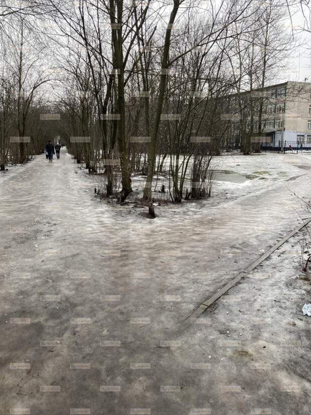 Фото: gorod.gov.spb.ru