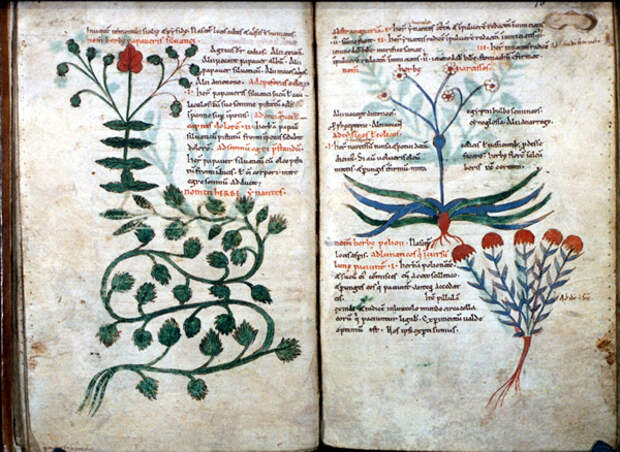 средневековый трактат упоминающий опиум
